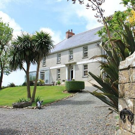 Ty Llwyd Bed & Breakfast Treffynnon Dış mekan fotoğraf